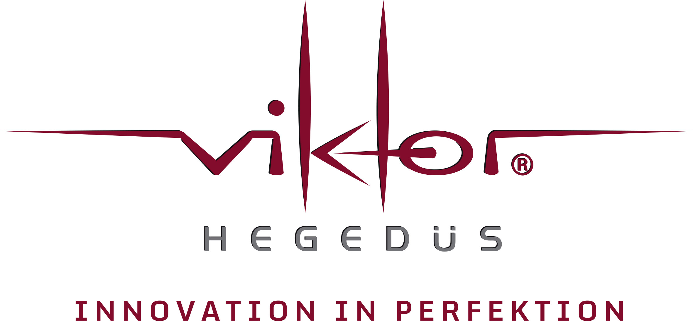 Logo Viktor Hegedüs GmbH